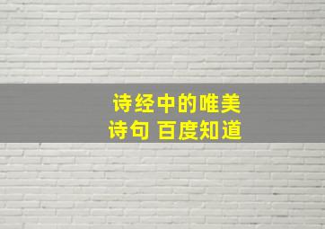 诗经中的唯美诗句 百度知道